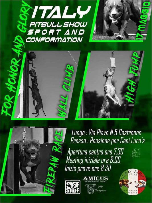 Italy Pitbull Show Sport and Conformation