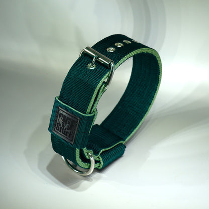 Collar 5 cm STRONG