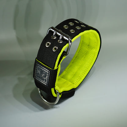 scratch_collar4