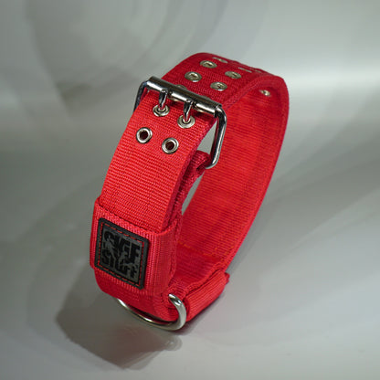 Collar 5 cm STRONG