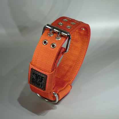 Collar 5 cm STRONG