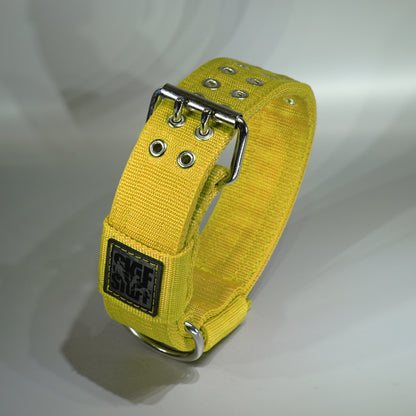 Collar 5 cm STRONG